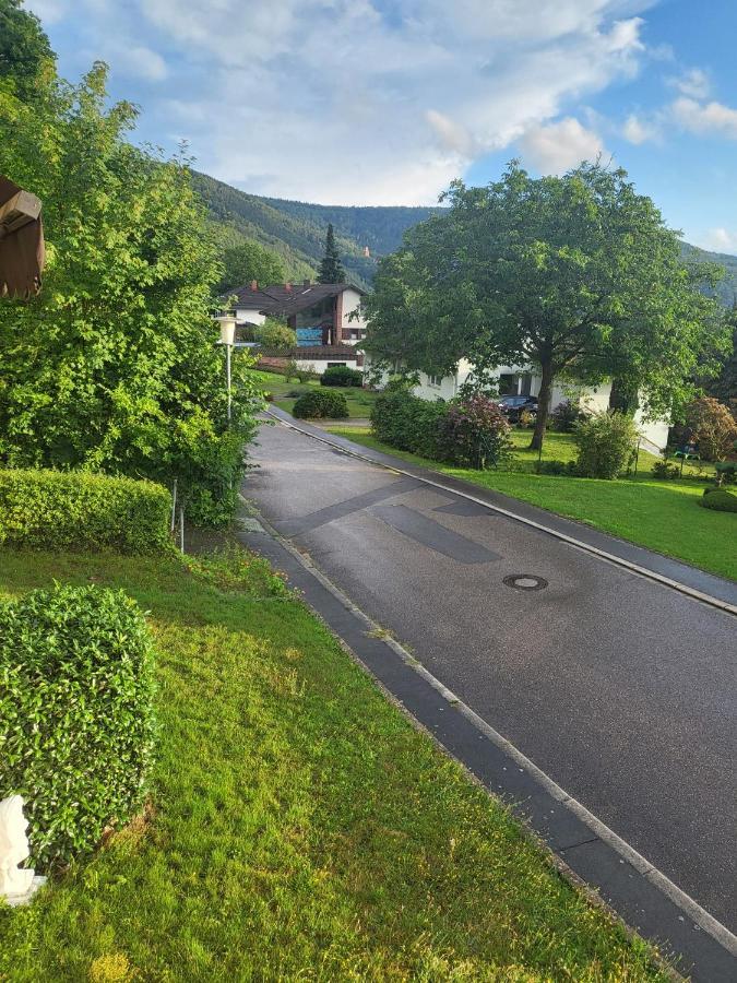 Ferienwohnung Freudenberg Freudenberg am Main Екстериор снимка
