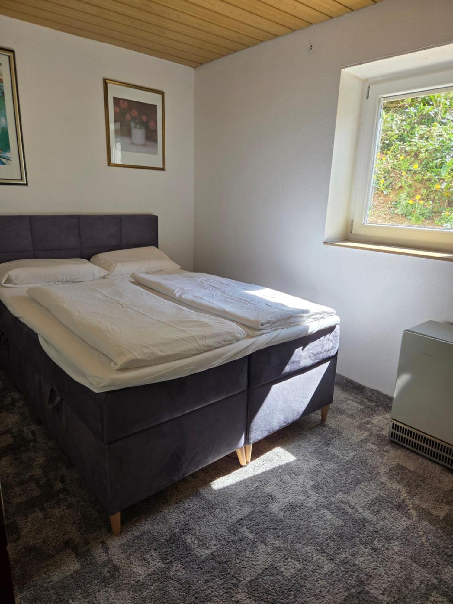 Ferienwohnung Freudenberg Freudenberg am Main Екстериор снимка